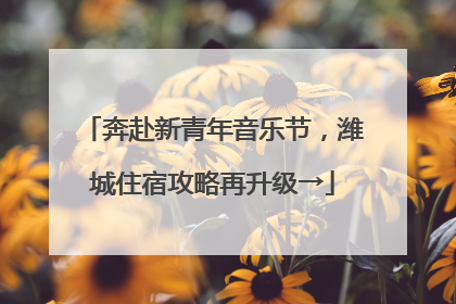 奔赴新青年音乐节，潍城住宿攻略再升级→