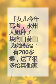 女儿今年高考，永州大姐种了一块向日葵田为她祝福：有200多棵，送了很多给其他家长