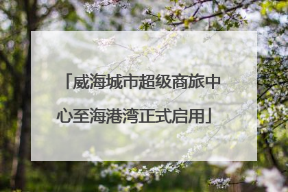 威海城市超级商旅中心至海港湾正式启用