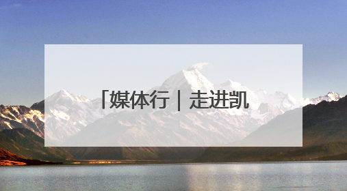 媒体行｜走进凯盛浩丰“番茄硅谷”：看数字神经下的精准农业