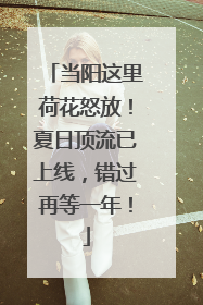 当阳这里荷花怒放！夏日顶流已上线，错过再等一年！