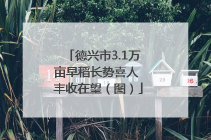 德兴市3.1万亩早稻长势喜人 丰收在望（图）