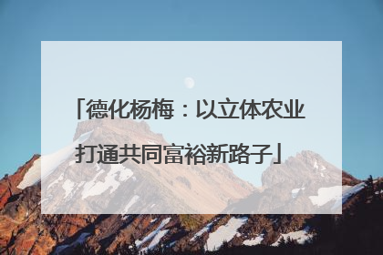 德化杨梅：以立体农业打通共同富裕新路子