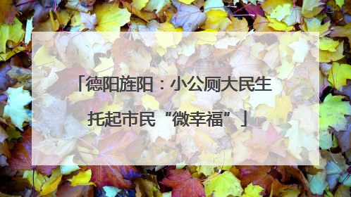德阳旌阳：小公厕大民生 托起市民“微幸福”