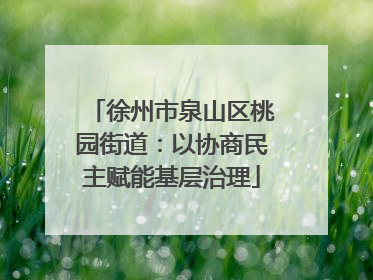 徐州市泉山区桃园街道：以协商民主赋能基层治理