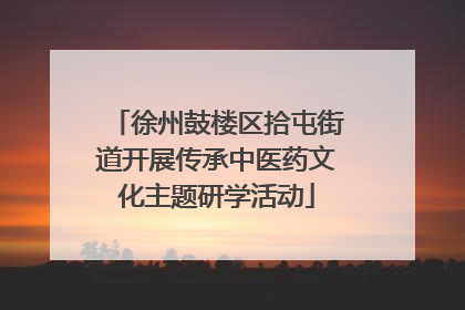 徐州鼓楼区拾屯街道开展传承中医药文化主题研学活动