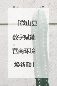 微山县数字赋能营商环境焕新颜