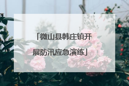 微山县韩庄镇开展防汛应急演练