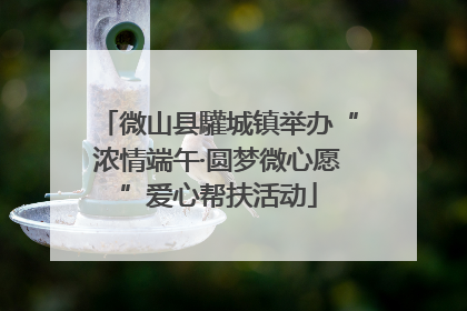 微山县驩城镇举办“浓情端午·圆梦微心愿”爱心帮扶活动