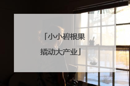 小小碧根果撬动大产业