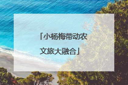 小杨梅带动农文旅大融合