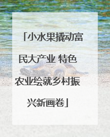 小水果撬动富民大产业 特色农业绘就乡村振兴新画卷