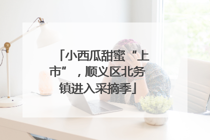 小西瓜甜蜜“上市”，顺义区北务镇进入采摘季