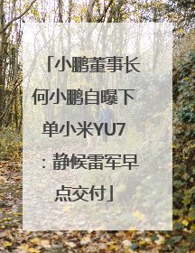 小鹏董事长何小鹏自曝下单小米YU7：静候雷军早点交付