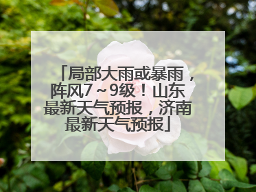 局部大雨或暴雨，阵风7～9级！山东最新天气预报，济南最新天气预报