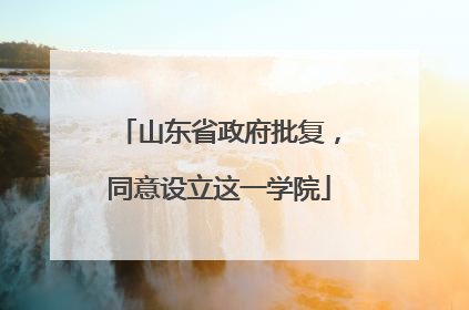 山东省政府批复，同意设立这一学院