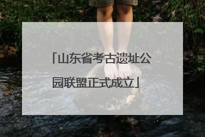 山东省考古遗址公园联盟正式成立