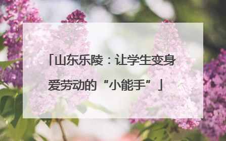 山东乐陵：让学生变身爱劳动的“小能手”