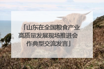 山东在全国粮食产业高质量发展现场推进会作典型交流发言