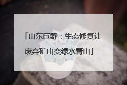 山东巨野：生态修复让废弃矿山变绿水青山