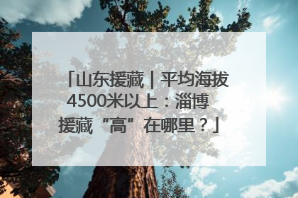 山东援藏｜平均海拔4500米以上：淄博援藏“高”在哪里？