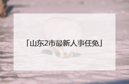 山东2市最新人事任免