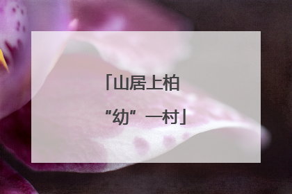 山居上柏 “幼”一村