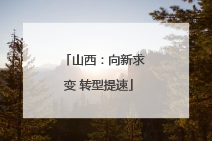 山西：向新求变 转型提速