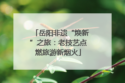 岳阳非遗“焕新”之旅:老技艺点燃旅游新烟火