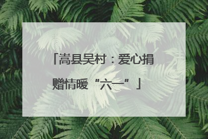 嵩县吴村：爱心捐赠情暖“六一”