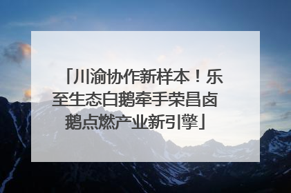 川渝协作新样本！乐至生态白鹅牵手荣昌卤鹅点燃产业新引擎