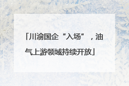 川渝国企“入场”，油气上游领域持续开放