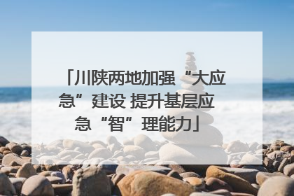 川陕两地加强“大应急”建设 提升基层应急“智”理能力