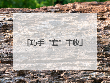 巧手“套”丰收