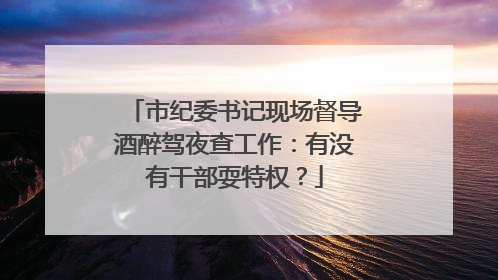 市纪委书记现场督导酒醉驾夜查工作：有没有干部耍特权？