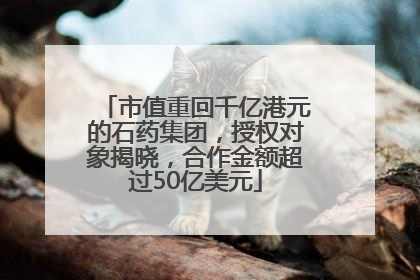 市值重回千亿港元的石药集团，授权对象揭晓，合作金额超过50亿美元