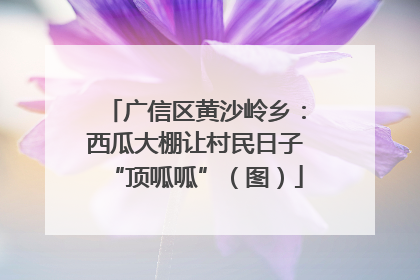 广信区黄沙岭乡：西瓜大棚让村民日子“顶呱呱”（图）