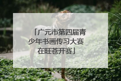广元市第四届青少年书画传习大赛在旺苍开赛