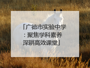 广德市实验中学：聚焦学科素养 深耕高效课堂