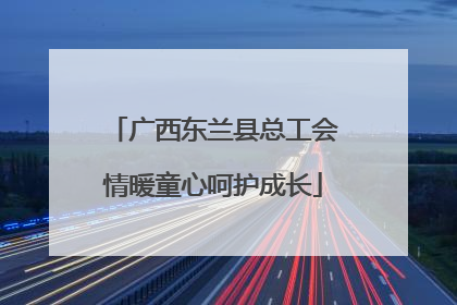 广西东兰县总工会情暖童心呵护成长