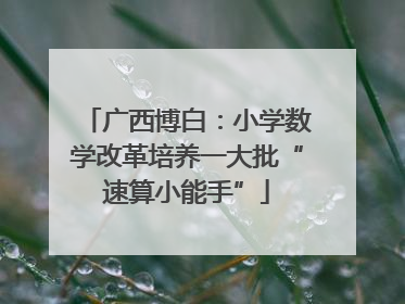 广西博白：小学数学改革培养一大批“速算小能手”