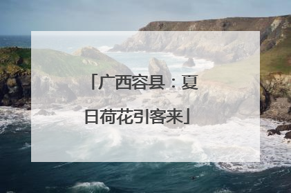 广西容县：夏日荷花引客来