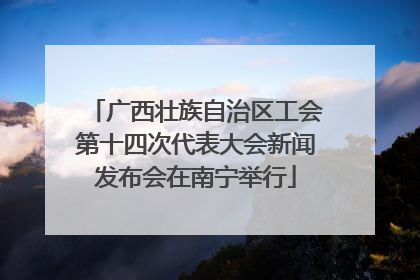 广西壮族自治区工会第十四次代表大会新闻发布会在南宁举行