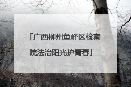 广西柳州鱼峰区检察院法治阳光护青春
