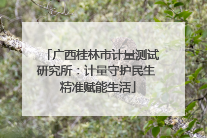 广西桂林市计量测试研究所：计量守护民生 精准赋能生活