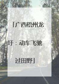 广西梧州龙圩：动车飞驰过田野