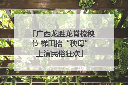 广西龙胜龙脊梳秧节 梯田抬“秧母”上演民俗狂欢