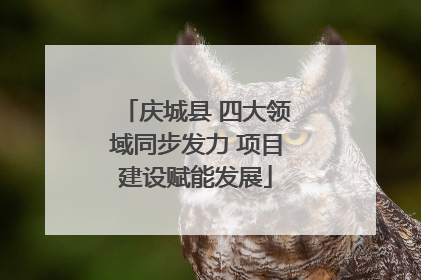 庆城县 四大领域同步发力 项目建设赋能发展