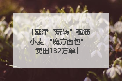 延津“玩转”强筋小麦 “魔方面包”卖出132万单