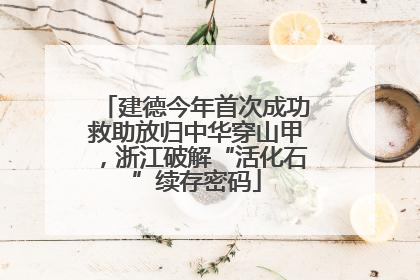 建德今年首次成功救助放归中华穿山甲，浙江破解“活化石”续存密码